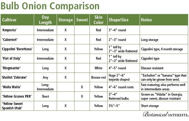 Bulb Comparison