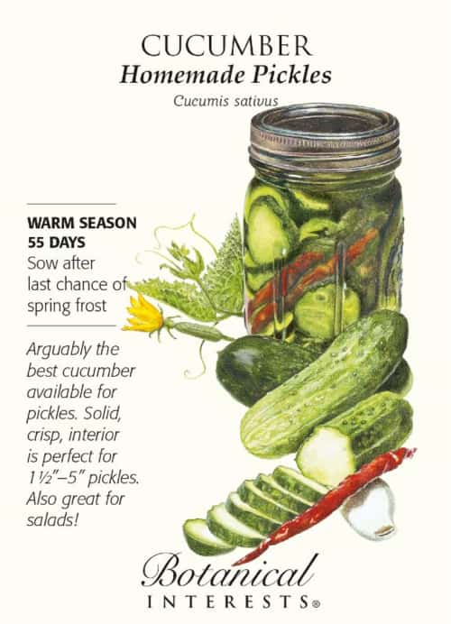 Cucumbers for Pickles