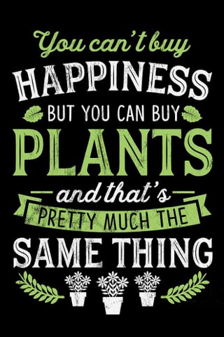 plant saying