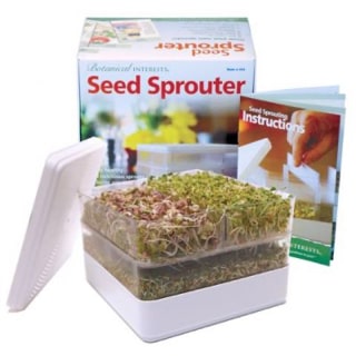 seed starter