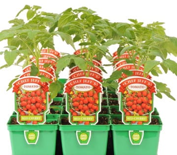 Chef Jeff Vegetables