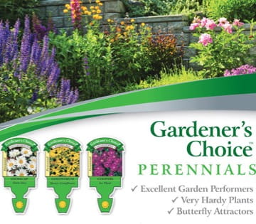 Gardeners Choice Perennials