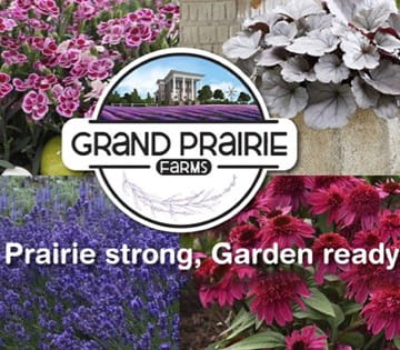 Grand Prairie Farms