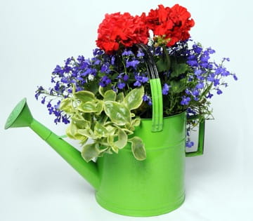 Watering Can Watering Can